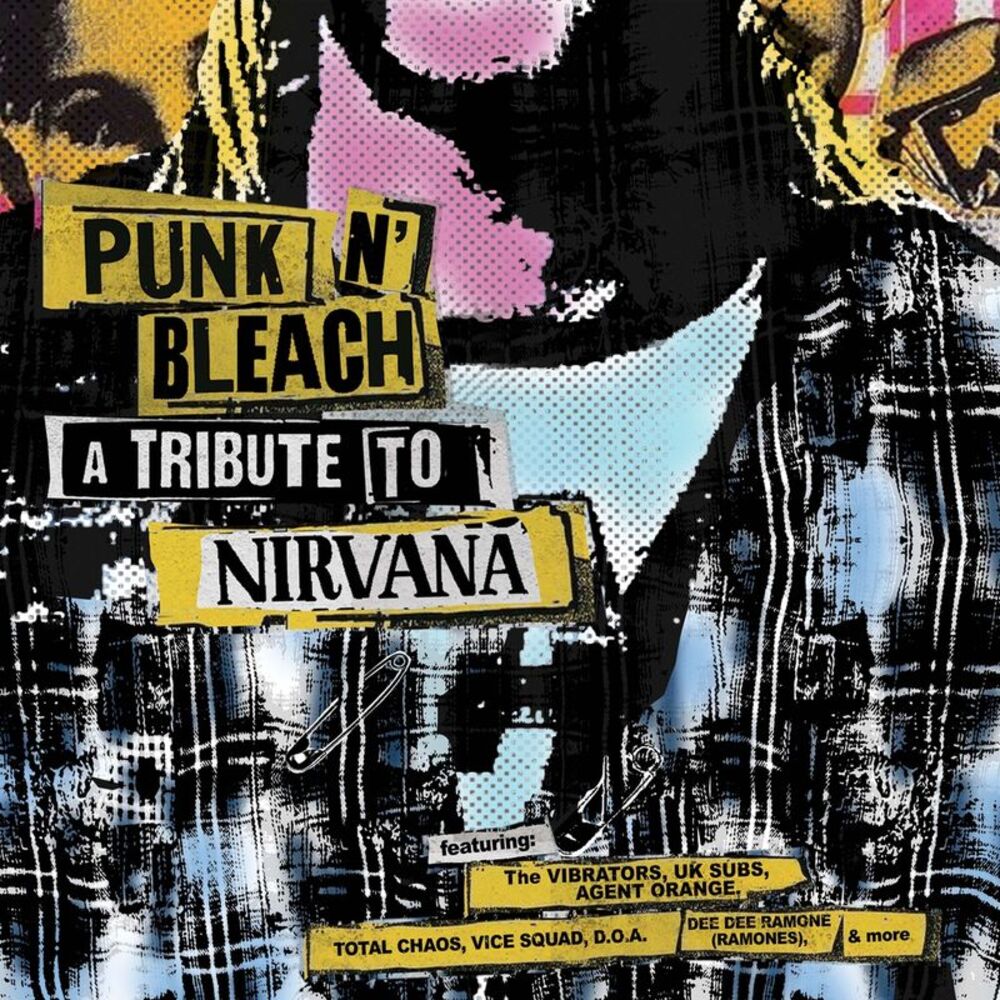 The Vibrators - Punk N' Bleach - A Punk Tribute To Nirvana  CD